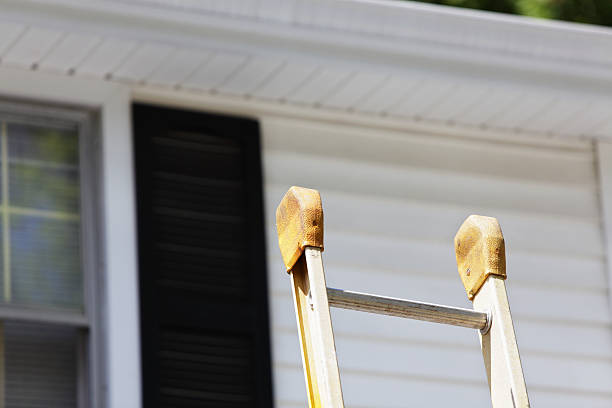 Best Insulated Siding Installation  in Freemansburg, PA